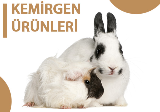 Kemirgen Ürünleri