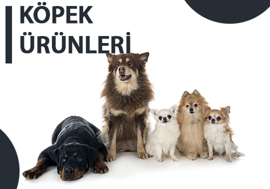 Köpek Ürünleri